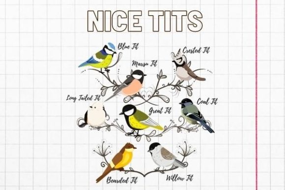 Nice Tits, Birdwatching Lover: Graphics for T-Shirt Designs